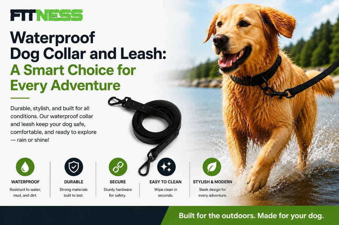 Waterproof Dog Collar and Leash: A Smart Choice for Every Adventure