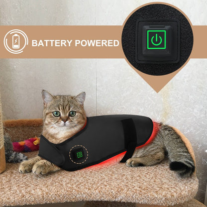 Pet Red Light Infrared Physiotherapy Home Wireless Portable Timing